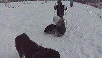 Охотники за лыжами)))