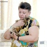 Курильский бобтейл котенок Амели на ВЦФ шоу 2