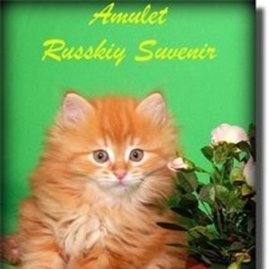 Amulet  Russkiy Suvenir, объявление 354540, цена 15000 руб.