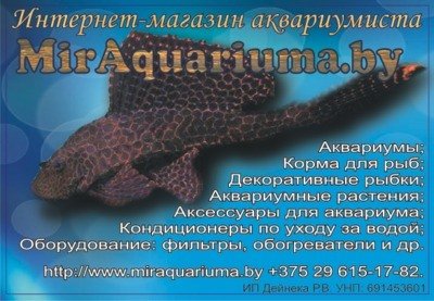 Интернет-магазин аквариумиста